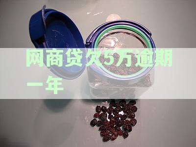 网商贷逾期五万每月还一部分进去会被起诉吗及应对措