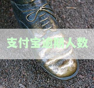 2023年支付宝逾期还款人数统计及逾期原因分析报告