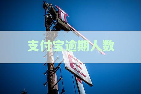 2024年支付宝逾期还款人群统计及原因分析：逾期人数、风险预警与解决方案