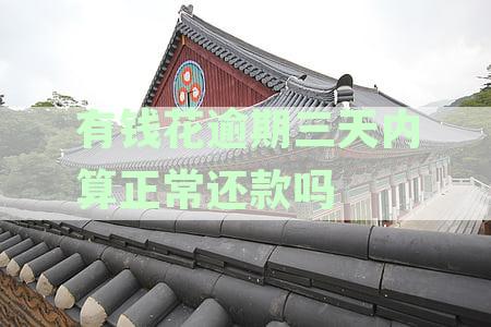 有钱花逾期三天会有什么严重后果及影响：全面资讯解析