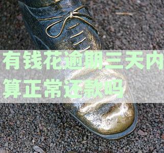 有钱花逾期3-4天的影响与处理方法：逾期后果、解决方案及常见问题解析