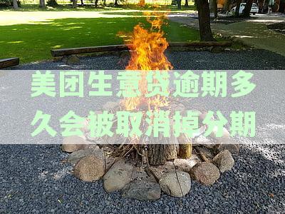 生意借款逾期多久会被取消分期还款时间及取消条件解析
