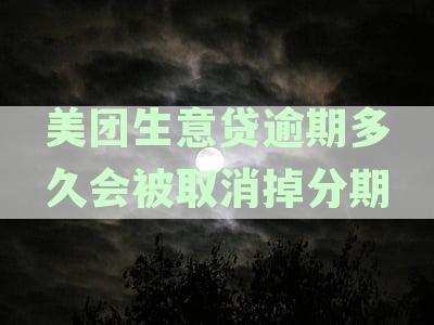 美团生意贷逾期还款多个月：全面解析逾期后果与应对策略