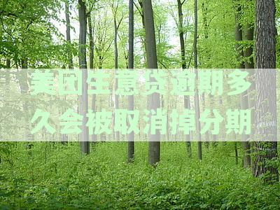 美团生意贷逾期多久会被取消掉分期