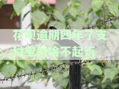 花呗逾期四年了支付宝为啥不起诉