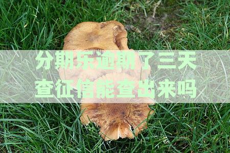 分期乐逾期三天将影响信用记录：详解逾期后果与征信影响