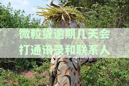微粒贷逾期多久天会通过电话通知联系家人及家属