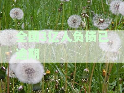 全国负债人数逼近7.8亿，逾期负债问题日益突出
