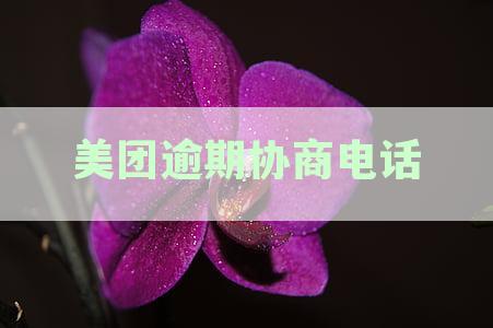 95172怎么转人工协商还款及网贷逾期期还款攻略