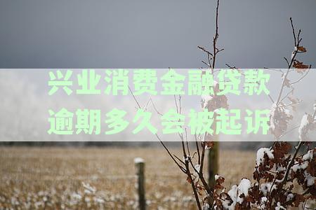 '兴业消费金融：贷款逾期多久消费金融公司会启动起诉程序厦门地区'