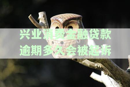 兴业消费金融逾期贷款起诉标准解析：逾期多久可能面临法律诉讼及应对策略