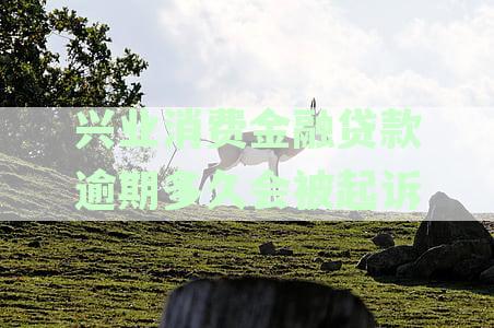 兴业消费金融贷款逾期还款会有什么后果，消费金融逾期处理方式解析