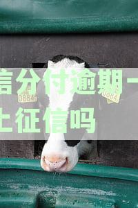 微信分付逾期了一天会不会上征信，逾期几天后果如何及微信使用影响解析