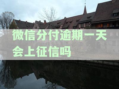 微信分付逾期一天会上征信吗