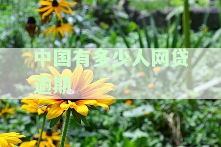 揭秘中国网贷逾期现状：逾期人数、原因及潜在影响全面分析