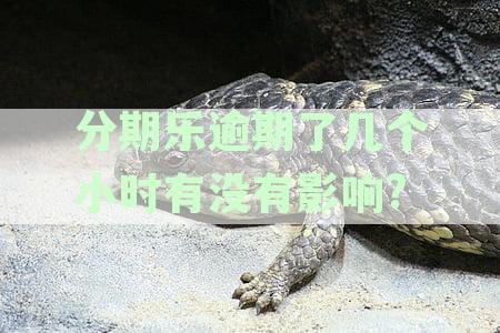 分期乐逾期几分有事吗：逾期几小时、几天的影响及对征信的影响