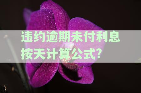 详尽解读：逾期违约利息按日计算公式及各类贷款逾期利息计算方法