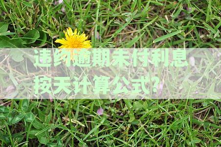 法律角度解析：逾期付款利息与违约金有何不同及区别