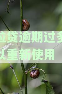 微粒贷逾期后完整指南：多久能恢复额度及重新借款全解析