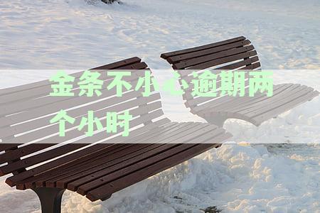 京东金条逾期一天怎么办：逾期两个小时会影响使用吗？该如何解决？