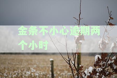 金条不小心逾期一小时：如何处理、后果及是否上征信