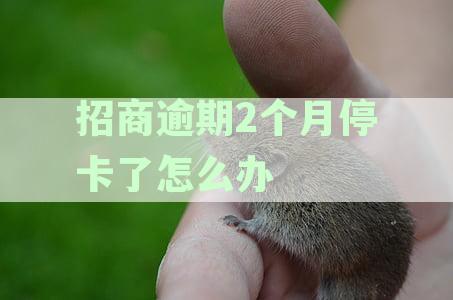 招商银行逾期2个月有可以继续使用的吗：还款后卡还能用吗及处理方法安全吗