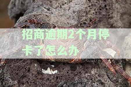 招商逾期2个月停卡了怎么办