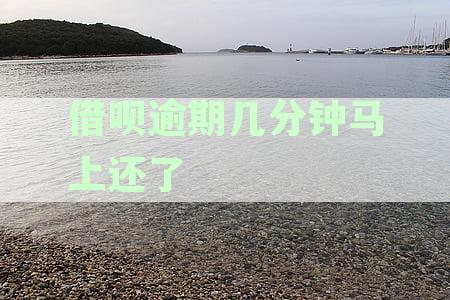 借呗逾期几分马上还了会怎么样，及其后果、征信影响和后续使用问题解析