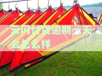 云闪付逾期还款对征信影响解析：逾期多久会上报及如何维护良好信用记录