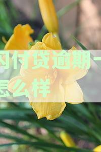 云闪付贷逾期一天会怎么样