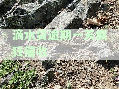 全面揭秘滴水贷催收难题：应对策略与用户权益保护指南