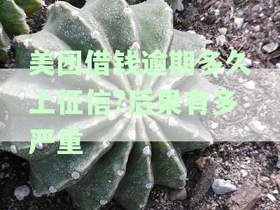 贷款逾期多久借钱会上征信？信用记录受影响，严重后果天会显现