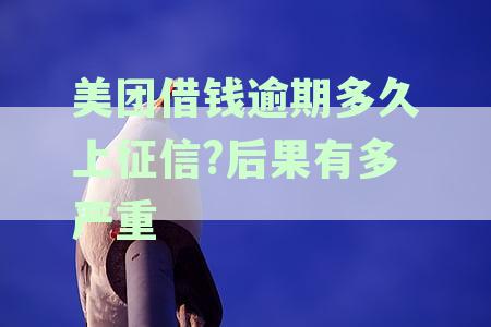 美团借款逾期多久会影响征信记录及应对策略解析