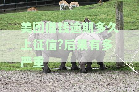 美团借钱逾期多久会催收电话上门及打电话，逾期多久会被起诉？