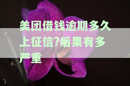 美团借款逾期有何后果？探究贷款逾期严重性及借钱风险