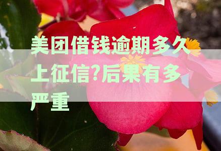 美团借钱逾期多久上征信?后果有多严重