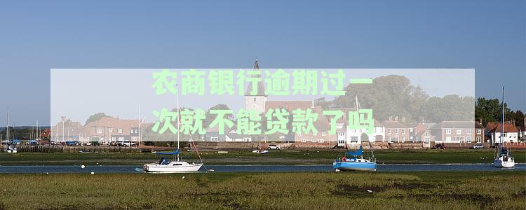 农商银行贷款逾期一日后，再次申请贷款是否会受影响，能否顺利办理？