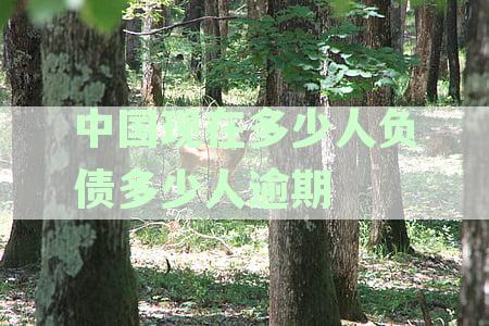 2021中国到底有多少人负债逾期、负债累累及2020负债人员统计