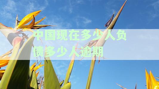 我国负债人数有多少：最新数据揭示逾期负债人的具体数字