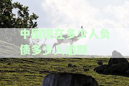 中国现在多少人负债多少人逾期