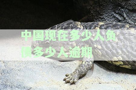 中国现在多少人负债多少人逾期