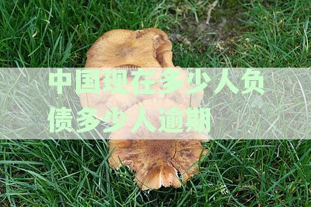 2021年中国负债逾期人群规模及逾期债务总额分析报告