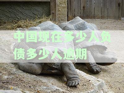 中国现在多少人负债多少人逾期