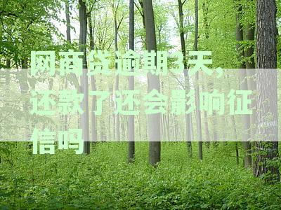 三天逾期还款后，网商贷还会影响征信吗？怎么应对逾期后果