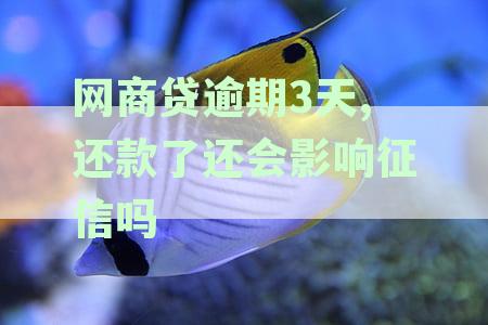 网商贷逾期3天后还款，额度能否恢复及恢复时间详解