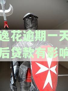 安逸花逾期一天对信用记录及未来贷款影响解析及应对策略