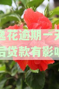 安逸花逾期一天就上征信吗：影响大小、逾期费用及征信记录真相探究