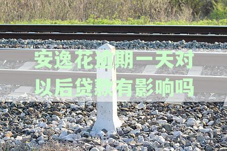 安逸花逾期一天对以后贷款有影响吗
