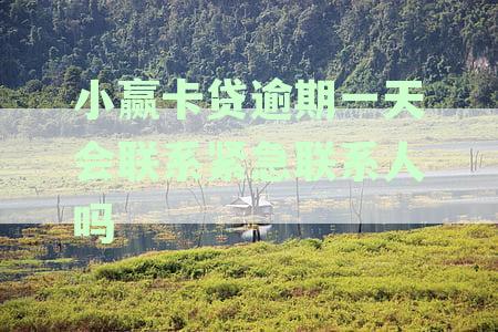 小赢卡贷逾期处理流程：紧急联系人会被联系吗？如何确保信息安全？