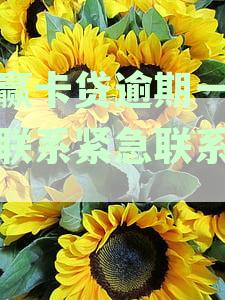 小赢卡贷逾期还款处理流程：紧急联系人多久会被联系及逾期后果解析